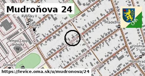 Mudroňova 24, Levice