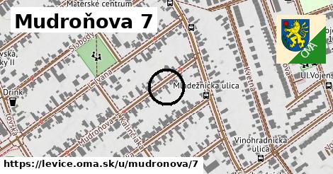 Mudroňova 7, Levice