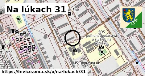 Na lúkach 31, Levice