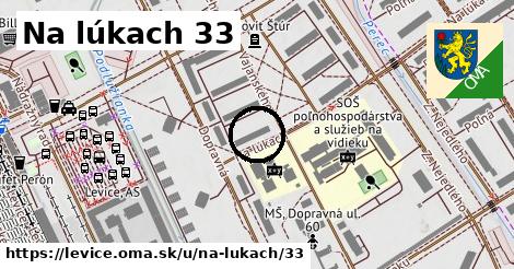 Na lúkach 33, Levice