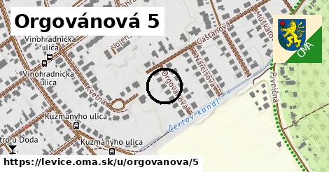 Orgovánová 5, Levice