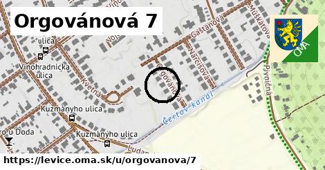 Orgovánová 7, Levice