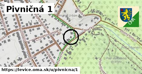 Pivničná 1, Levice