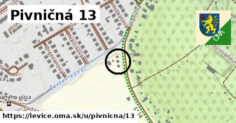 Pivničná 13, Levice