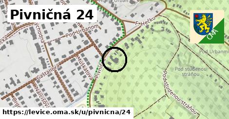 Pivničná 24, Levice