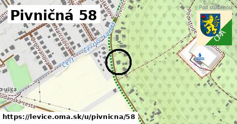 Pivničná 58, Levice