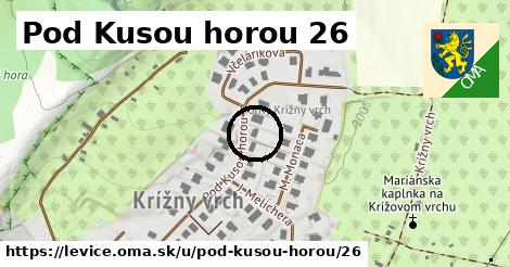 Pod Kusou horou 26, Levice