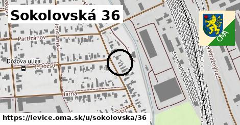 Sokolovská 36, Levice