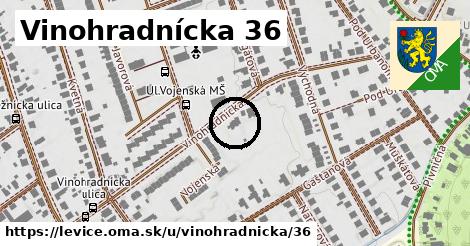 Vinohradnícka 36, Levice