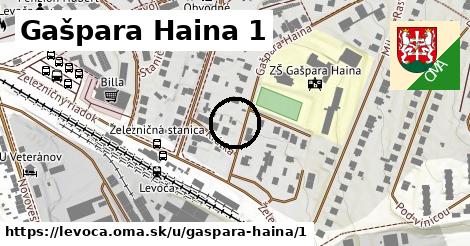 Gašpara Haina 1, Levoča