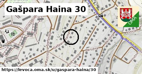 Gašpara Haina 30, Levoča