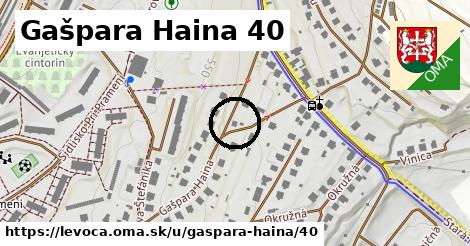 Gašpara Haina 40, Levoča