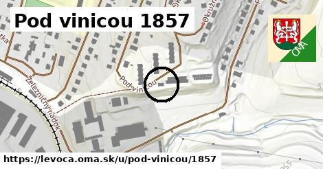 Pod vinicou 1857, Levoča