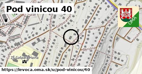 Pod vinicou 40, Levoča
