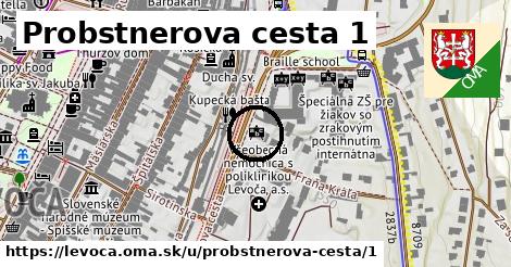 Probstnerova cesta 1, Levoča