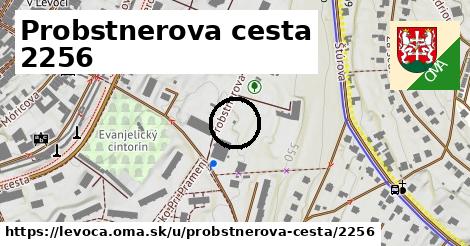 Probstnerova cesta 2256, Levoča