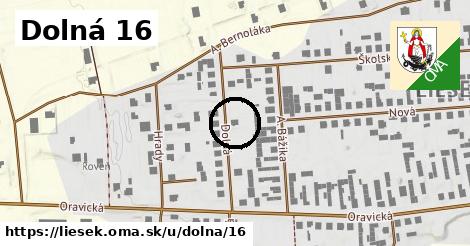 Dolná 16, Liesek