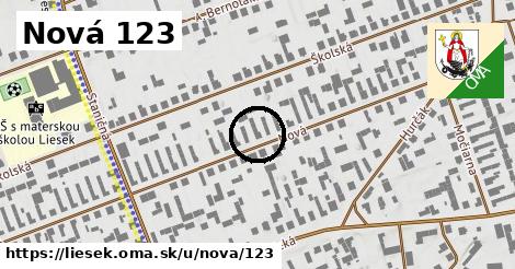 Nová 123, Liesek