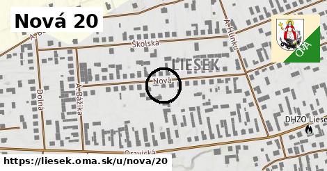 Nová 20, Liesek