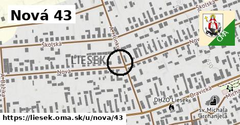 Nová 43, Liesek