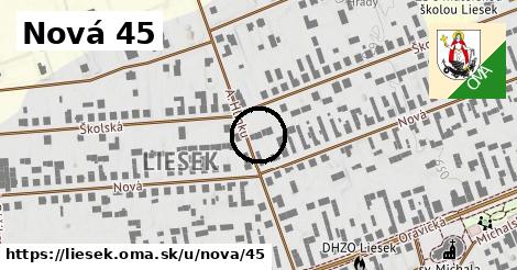 Nová 45, Liesek