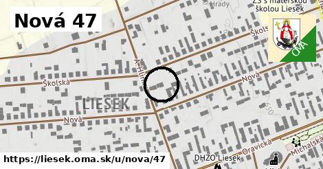 Nová 47, Liesek