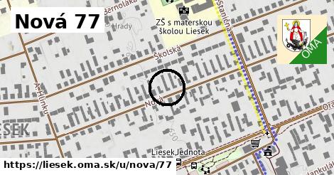 Nová 77, Liesek
