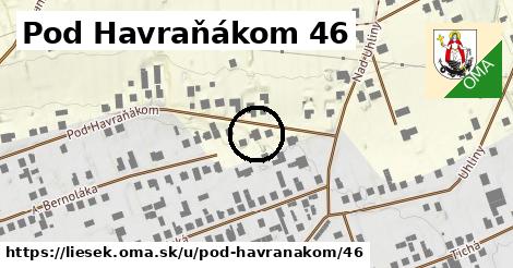 Pod Havraňákom 46, Liesek