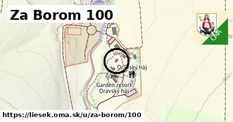 Za Borom 100, Liesek