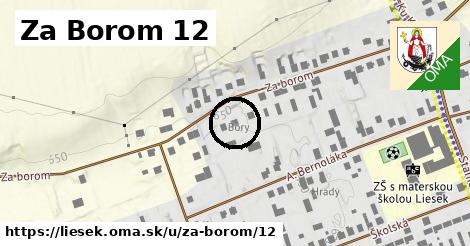 Za Borom 12, Liesek