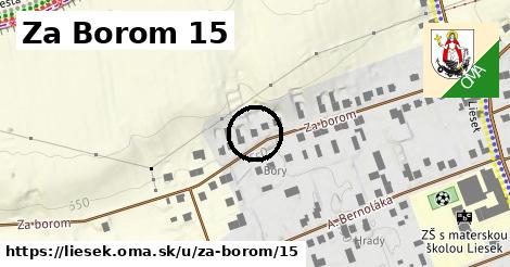 Za Borom 15, Liesek
