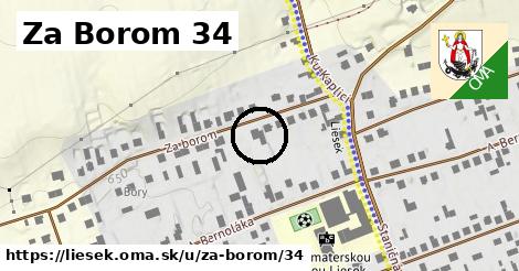 Za Borom 34, Liesek