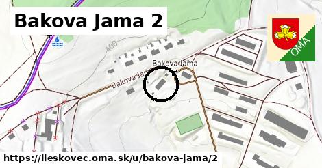 Bakova Jama 2, Lieskovec