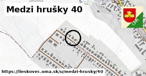 Medzi hrušky 40, Lieskovec