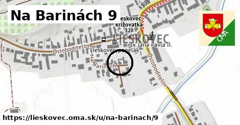 Na Barinách 9, Lieskovec