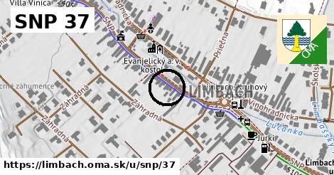 SNP 37, Limbach