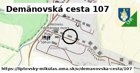 Demänovská cesta 107, Liptovský Mikuláš