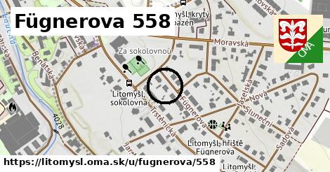 Fügnerova 558, Litomyšl