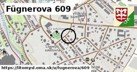 Fügnerova 609, Litomyšl