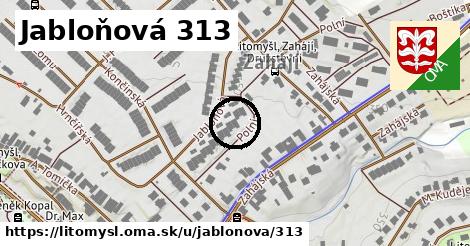 Jabloňová 313, Litomyšl