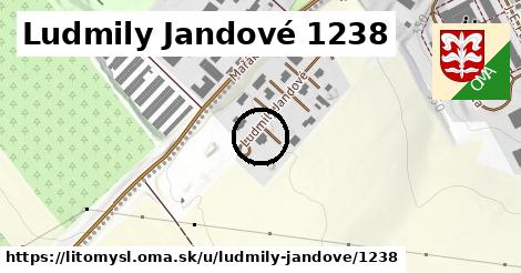 Ludmily Jandové 1238, Litomyšl
