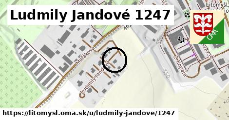 Ludmily Jandové 1247, Litomyšl