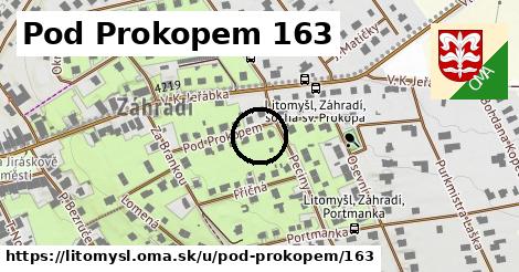 Pod Prokopem 163, Litomyšl