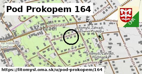 Pod Prokopem 164, Litomyšl