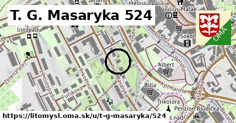 T. G. Masaryka 524, Litomyšl