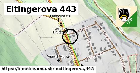 Eitingerova 443, Lomnice