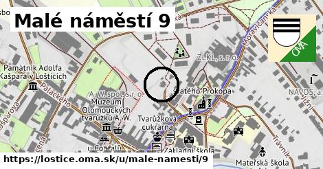 Malé náměstí 9, Loštice