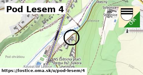 Pod Lesem 4, Loštice