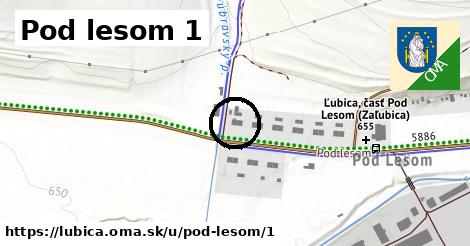 Pod lesom 1, Ľubica