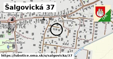 Šalgovická 37, Ľubotice